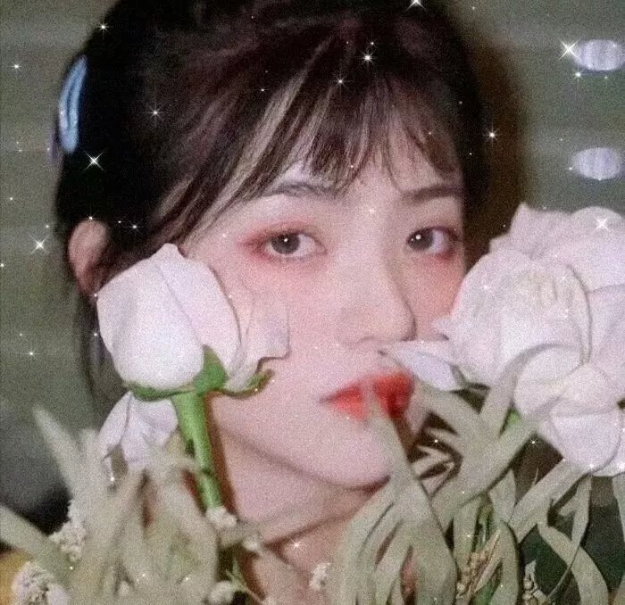 花园宝宝