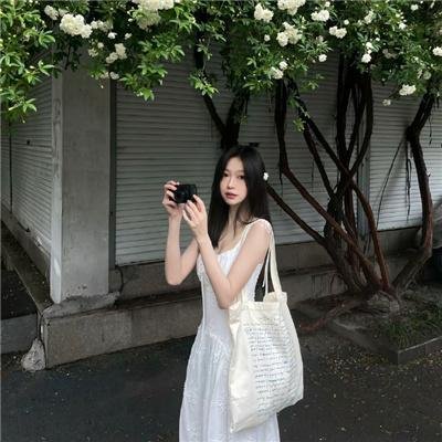 数码神犬